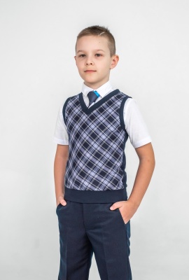 Делсти жилет 129-033-41 синяя клетка