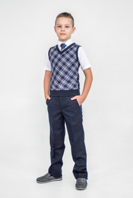 Делсти жилет 129-033-41 синяя клетка